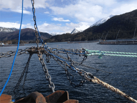 Fish Farm